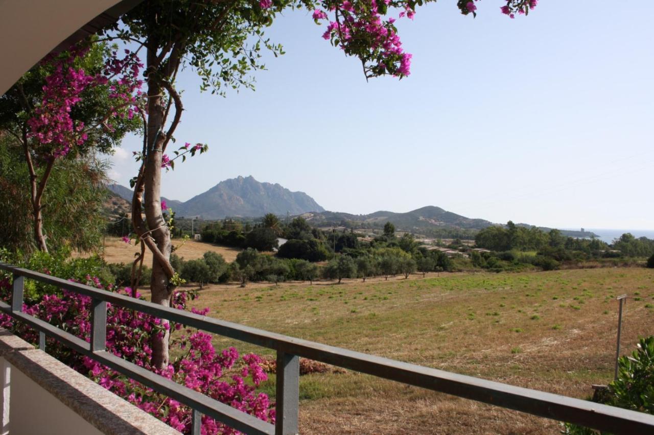 Vacanza In Ogliastra 테르테니아 외부 사진