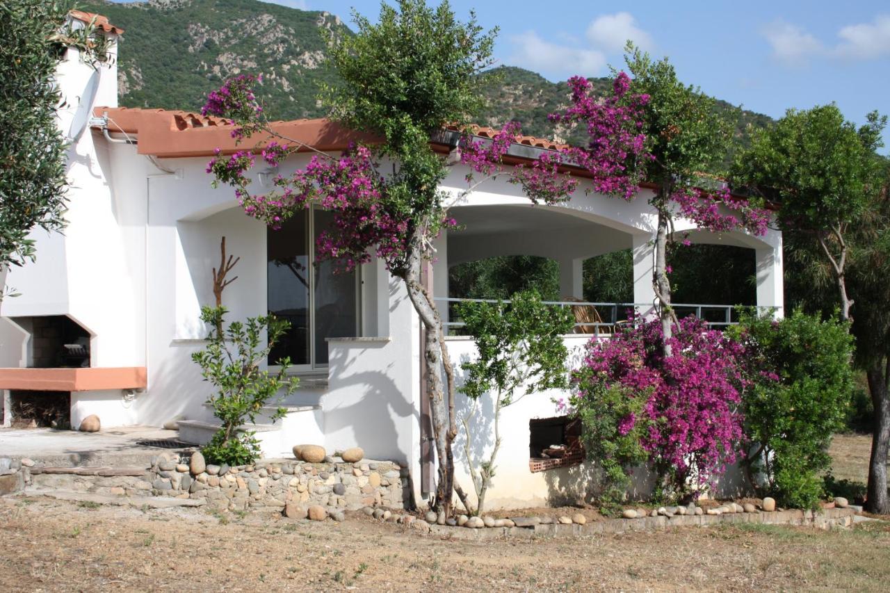 Vacanza In Ogliastra 테르테니아 외부 사진