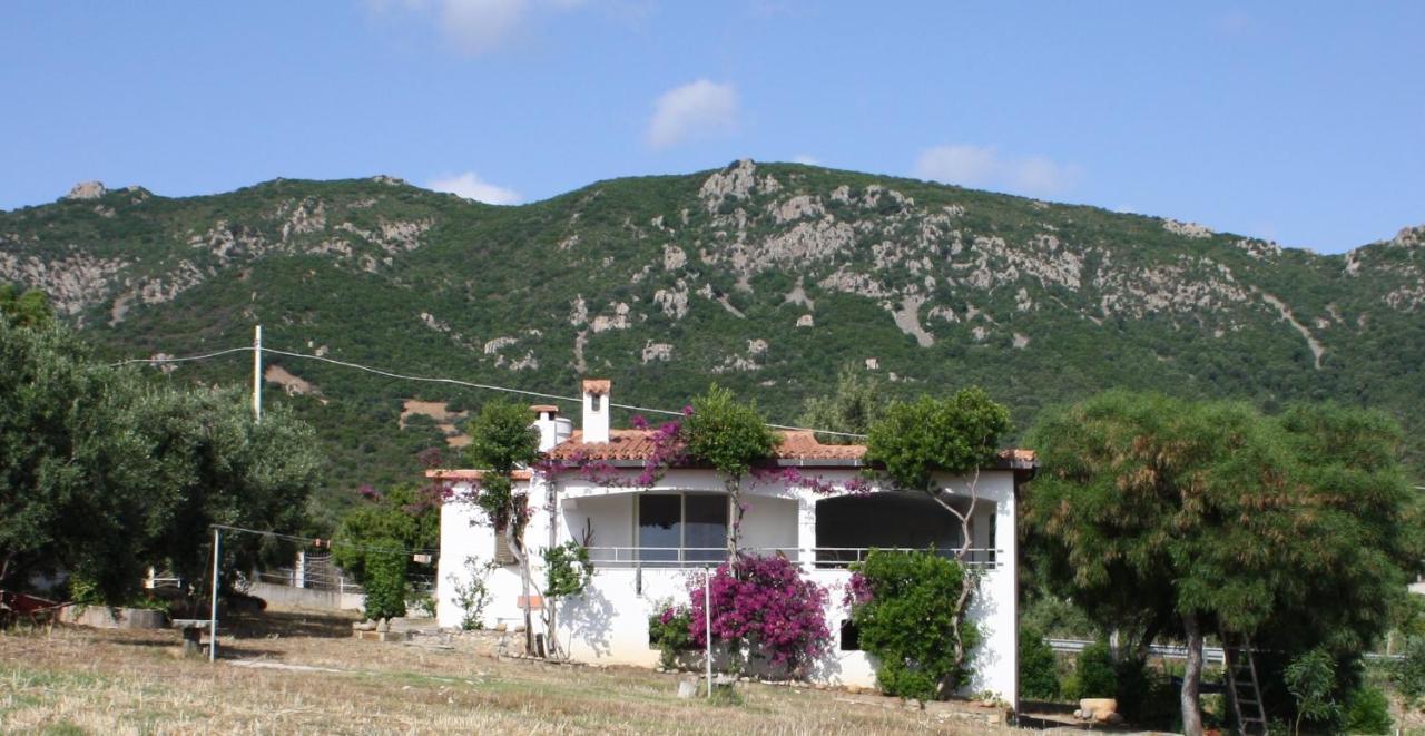 Vacanza In Ogliastra 테르테니아 외부 사진