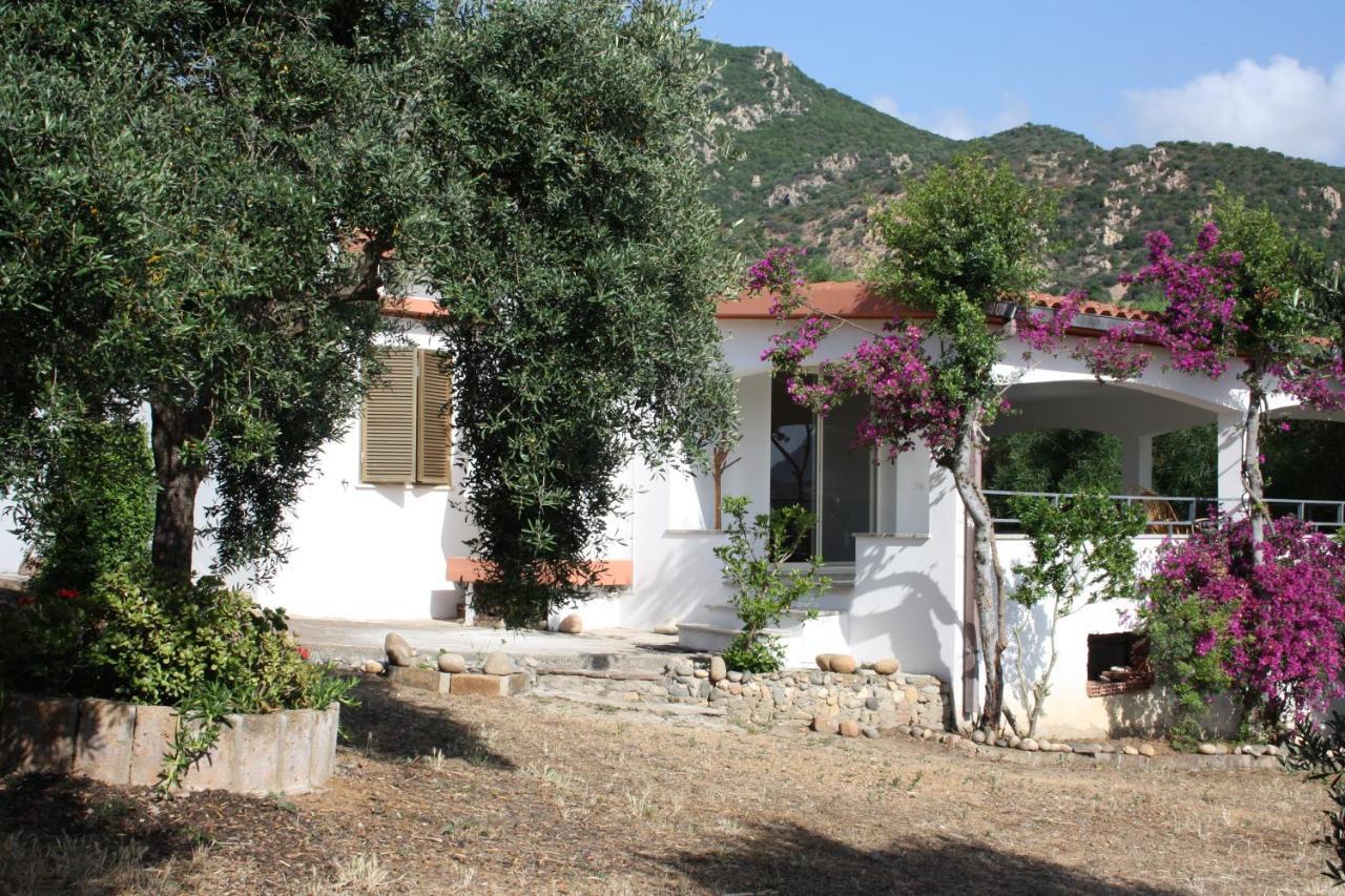 Vacanza In Ogliastra 테르테니아 외부 사진