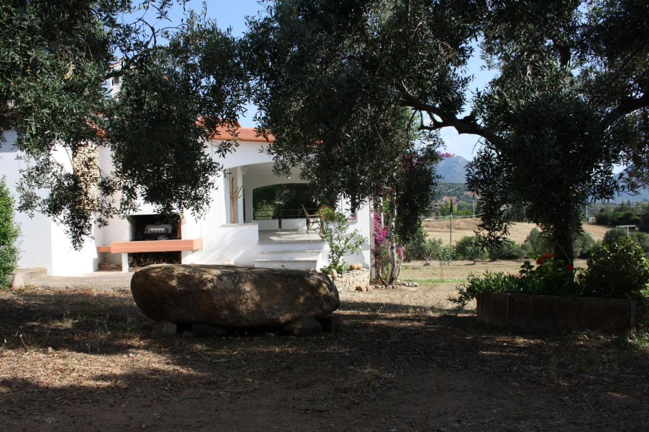 Vacanza In Ogliastra 테르테니아 외부 사진