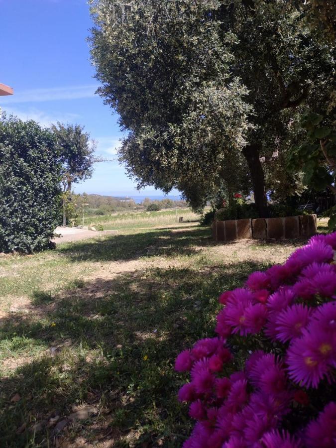 Vacanza In Ogliastra 테르테니아 외부 사진