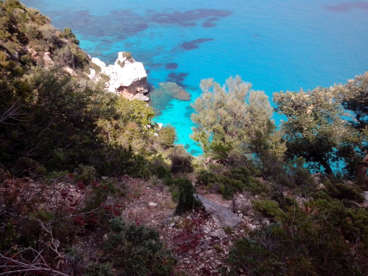 Vacanza In Ogliastra 테르테니아 외부 사진