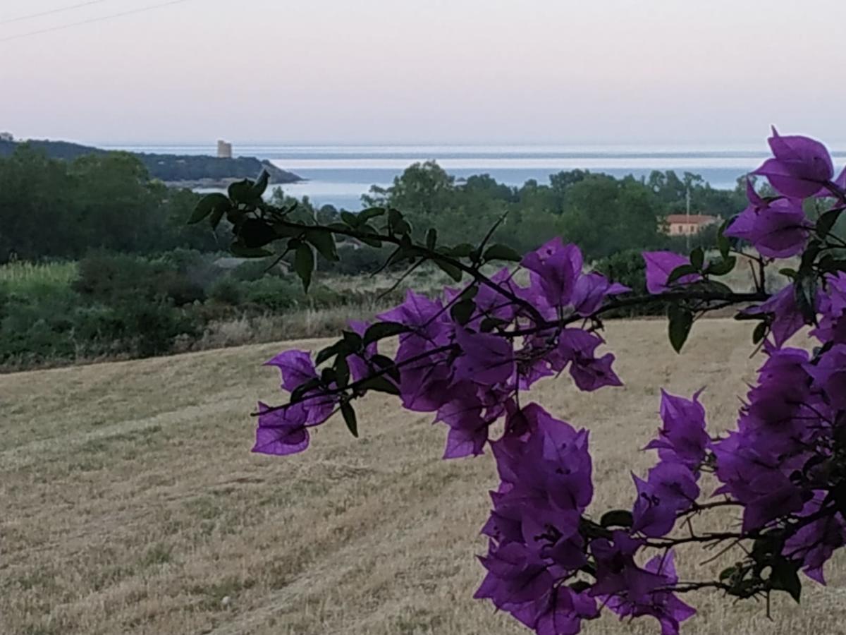 Vacanza In Ogliastra 테르테니아 외부 사진